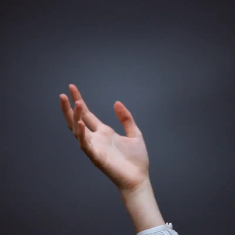 motion clip of a fashion editorial "A Poet's Evening" published in Flanelle Magazine